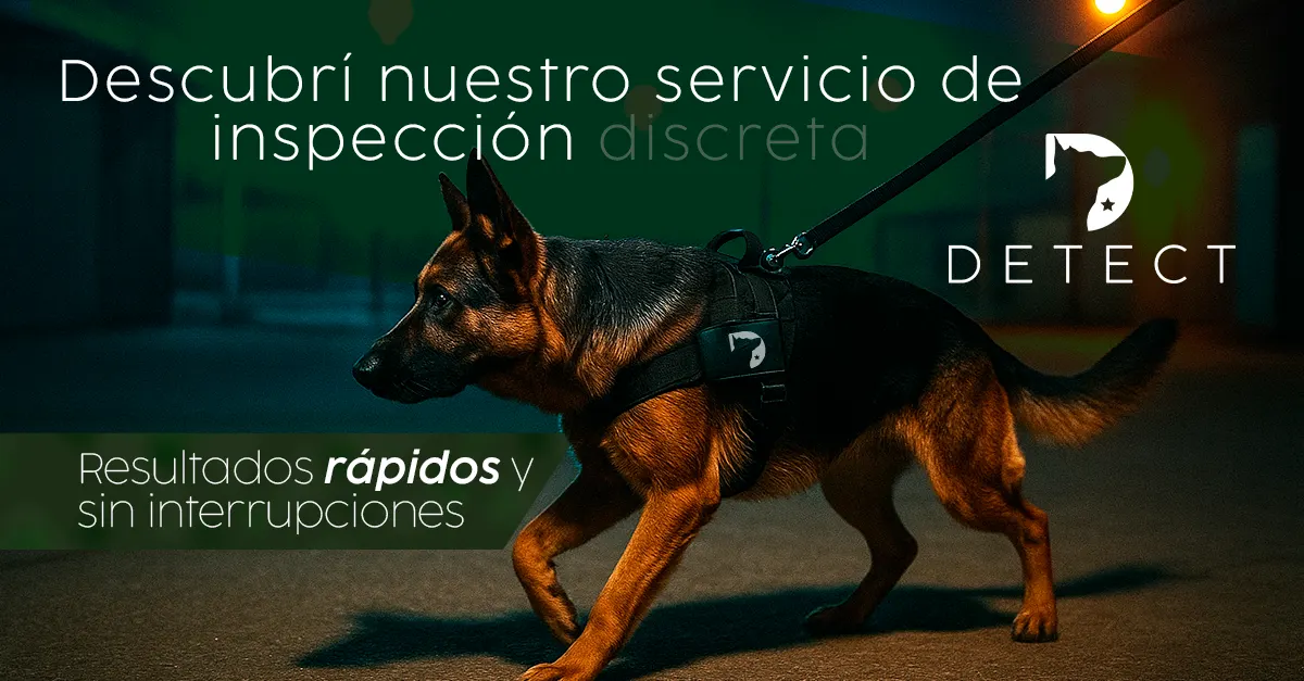 Anuncio de servicio para pauta en Meta, diseño publicitario de agencia en Costa Rica